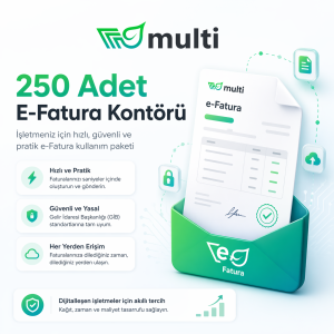 250 Adet E-Fatura Kontörü